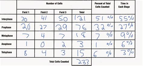 Biology Honor Labs: Mitosis Lab Report