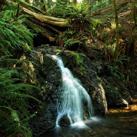 Waterfall, Moran State Park, Orcas Island | One of the falls… | Flickr