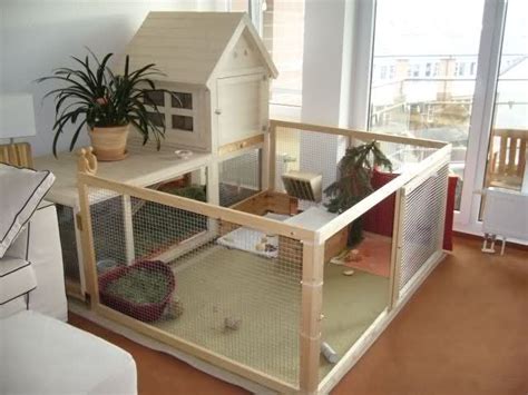 Épinglé par Sweet home sur Lemmikutele | Clapier intérieur, Rabbit ...