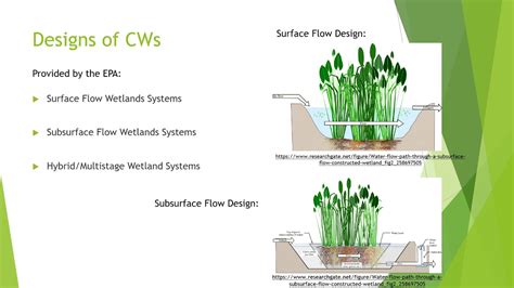 Constructed Wetlands Presentation - YouTube