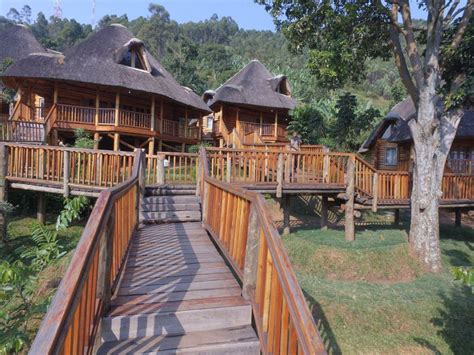 LUXURY IN THE WILD: Uganda’s 25 most luxurious safari lodges you must ...