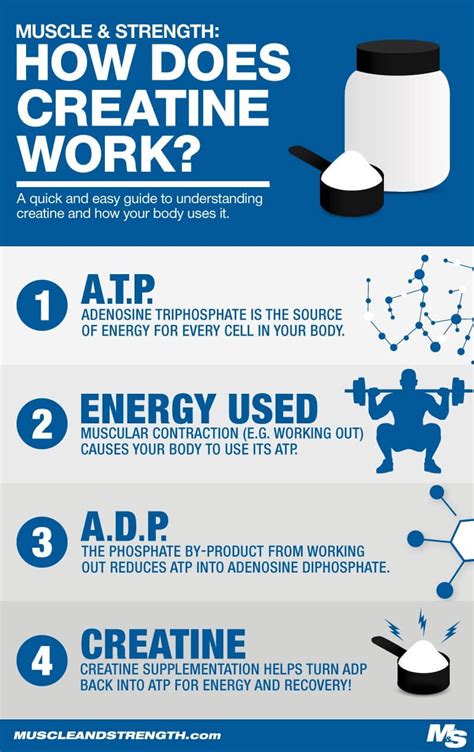 Creatine Monohydrate: Benefits, Side Effects, Dosages & FAQ | Muscle & Strength