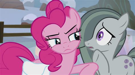 Image - Pinkie Pie nudging Marble Pie S5E20.png | My Little Pony Friendship is Magic Wiki ...