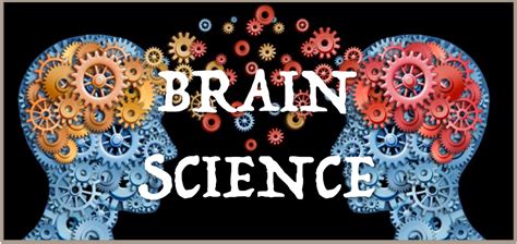 Brain Science - TOPP KIDS Out of School Clubs