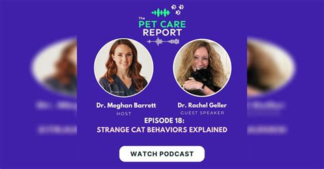 Dr. Rachel Geller: Strange Cat Behaviors Explained | E18 | The Pet Care ...