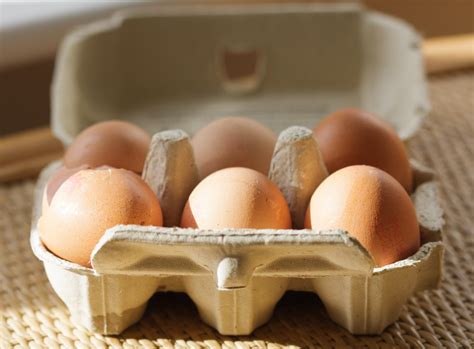 Eggs Macro Free Stock Photo - Public Domain Pictures