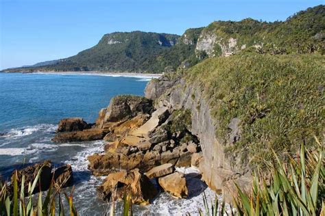 Paparoa Track New Zealand (The Newest Great Walk Trail)