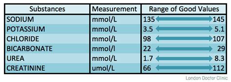 Kidney Function Test | London Doctors Clinic