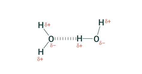 Hydrogen Bonding Animation