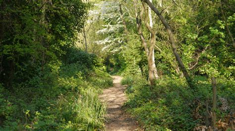 Gunnersbury Triangle, Chiswick, London | Gunnersbury Triangl… | Flickr