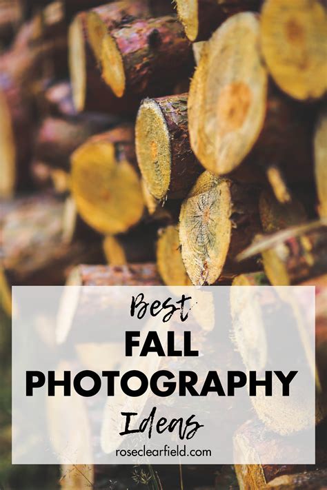 20 Creative Fall Photography Ideas • Rose Clearfield