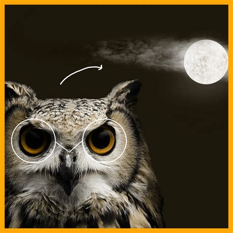 Unlocking The Night Owl Creative's Potential: 5 Ways To Stay Productive And Unleash Your ...