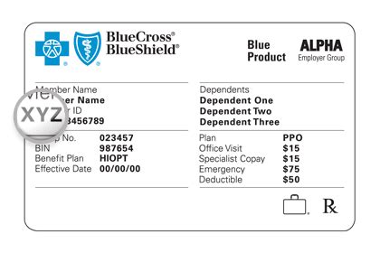 Insurance Company: Insurance Company Payer Id Numbers