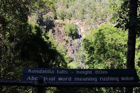 Kondalilla Falls Circuit - Pioneer Walks