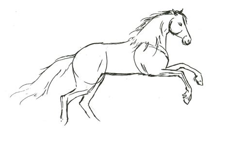 How To Draw Horses