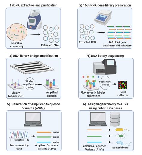 16S rRNA analysis - Helmholtz-Centre for Environmental Research