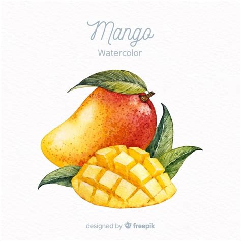 Premium Vector | Hand drawn mango background | How to draw hands, Fruits drawing, Watercolor fruit