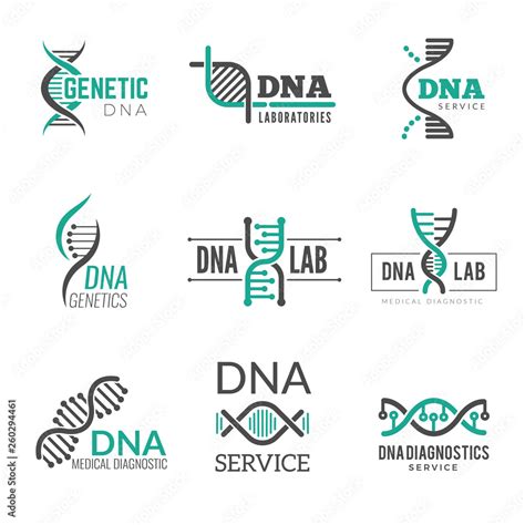 Dna logo. Genetic science symbols helix biotech vector business identity. Research medical ...