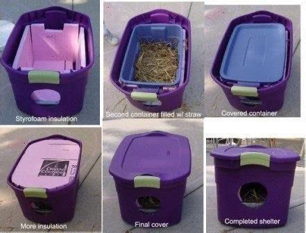 Comment protéger les chats errants du froid ? | Feral cat shelter, Outdoor cat house, Cat shelter