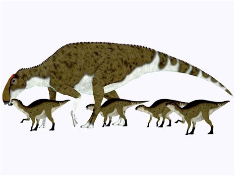 10 Facts About Maiasaura, the 'Good Mother Dinosaur'