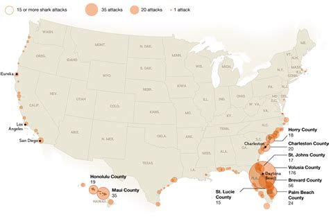 Location of Shark Attacks in the U.S. - Vivid Maps