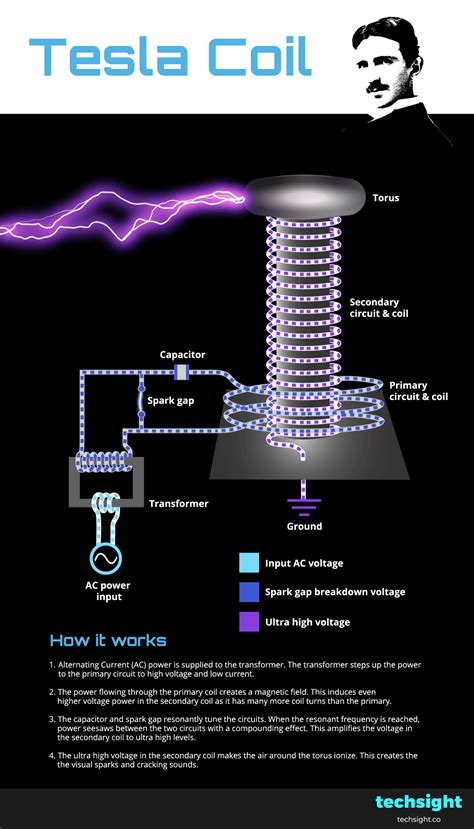 the tesla coil diagram shows how it works and what it does to do with it