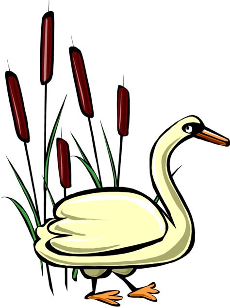 Lake clipart swan, Lake swan Transparent FREE for download on WebStockReview 2024