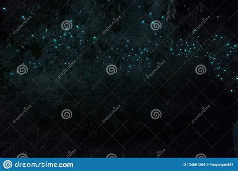 Waitomo Glowworm Caves, Waikato, New Zealand. Stock Photo - Image of north, glow: 134661204