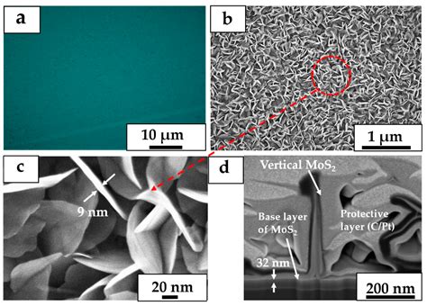 Crystals | Free Full-Text | Three-Dimensional MoS2 Nanosheet Structures ...