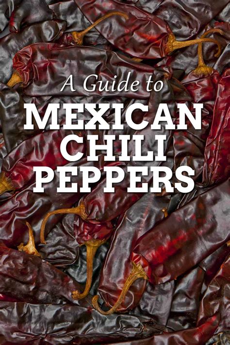 A Guide to Mexican Chili Peppers - Chili Pepper Madness