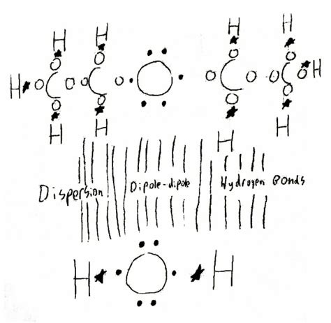 Lewis Structure - The Diethyl Ether Molecule