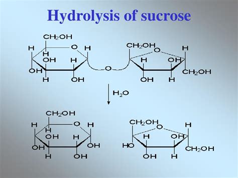 PPT - Organic Molecules - The Building Blocks of Life PowerPoint Presentation - ID:442659