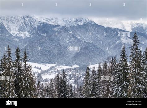 Winter view from Gubalowka hill, Poland Stock Photo - Alamy