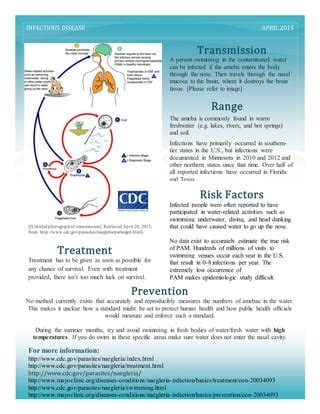 ID FactSheet | PDF