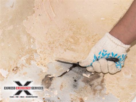 Water Damage Repair | Professional Technicians