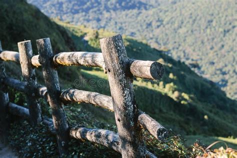 Foot path in mountain, stock image. Image of botany, national - 63922199