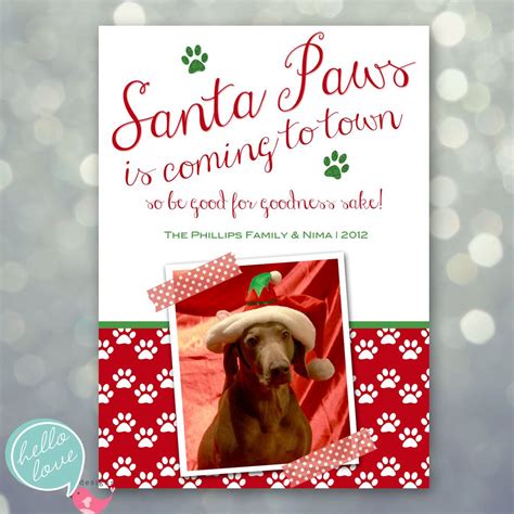 Pet Christmas Cards Photo | Pets Animals US