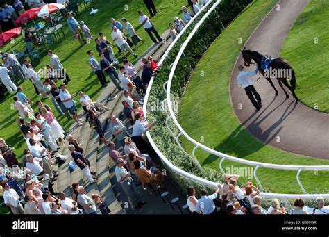 Horse Racing - Kempton Park Racecourse Stock Photo - Alamy