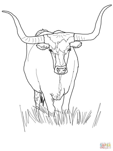 Longhorn Skull Drawing : Longhorn Coloring Pages | Dekorisori