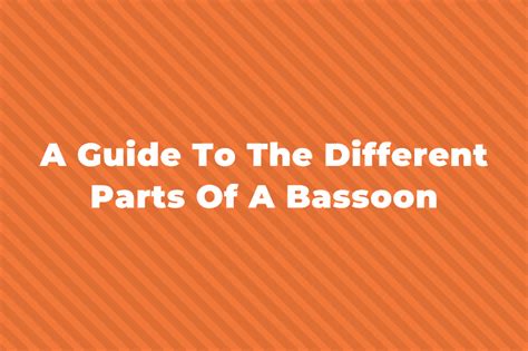 The Different Parts Of A Bassoon: Its Anatomy And Structure