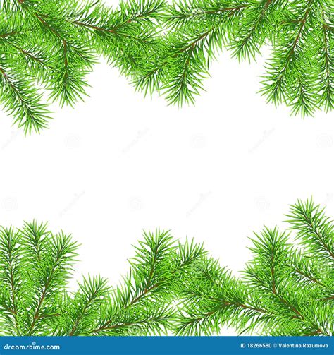 Christmas Tree Branch For Decorate Stock Photo - Image: 18266580