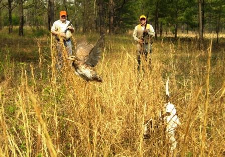 Georgia Deer Hunting Trips | Whitetail Deer Season License Info and ...