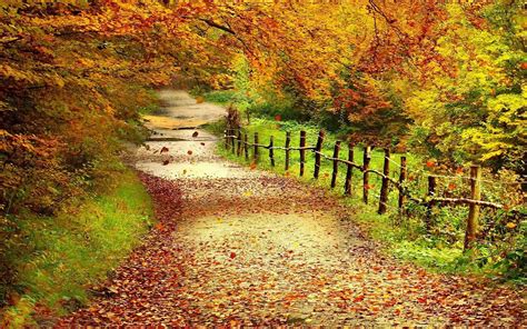 Autumn Trees Wallpapers - Wallpaper Cave