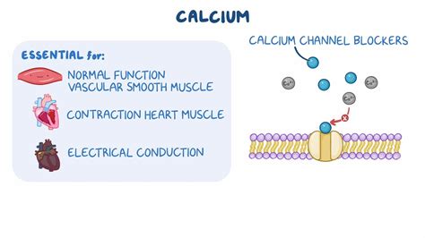 Calcium Channel Blocker Therapy - Osmosis Video Library