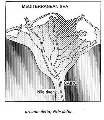 Arcuate Delta Diagram