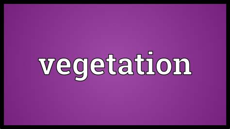 Vegetation Meaning - YouTube