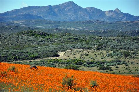 Namaqua National Park 2 | National parks, Southern africa, Ecosystems