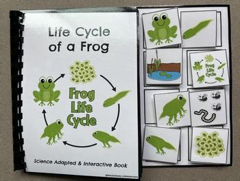 Life Cycle of a Frog Science Adapted Book by Mrs Jackson's Little Learners