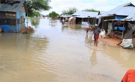 Horn of Africa: Over 100 killed and 700,000 displaced by El Nino rains as region braces for more ...