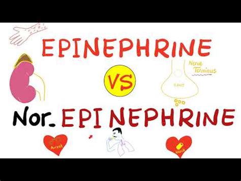 الفرق بين Norepinephine و Epinephrine - الفرق بين - 2024